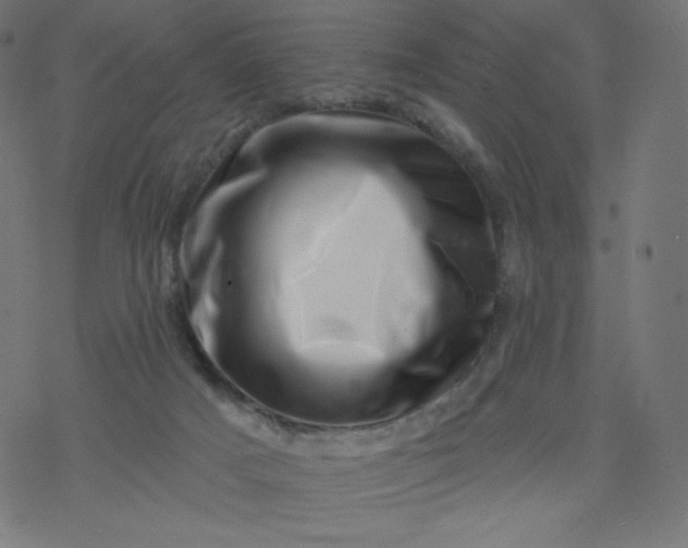 X0000077350025200611031832