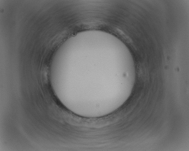 X0000077350026200611031832