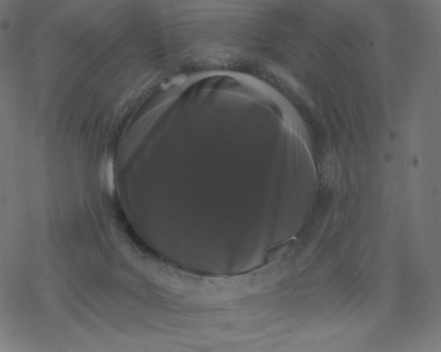 X0000077350027200611031832