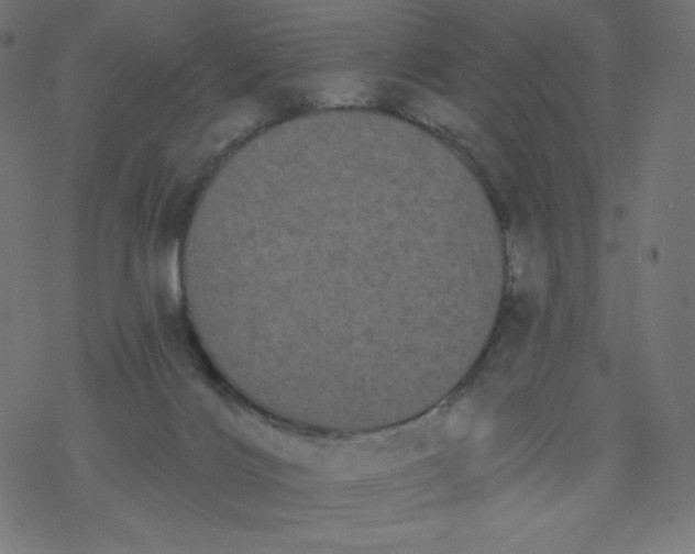 X0000077350028200611031832