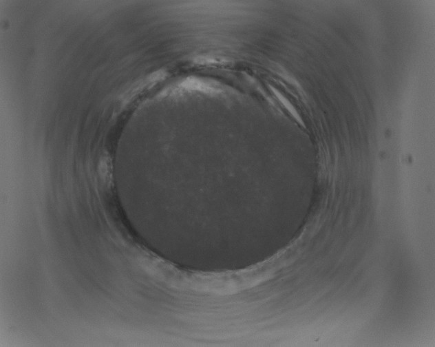 X0000077350029200611031832