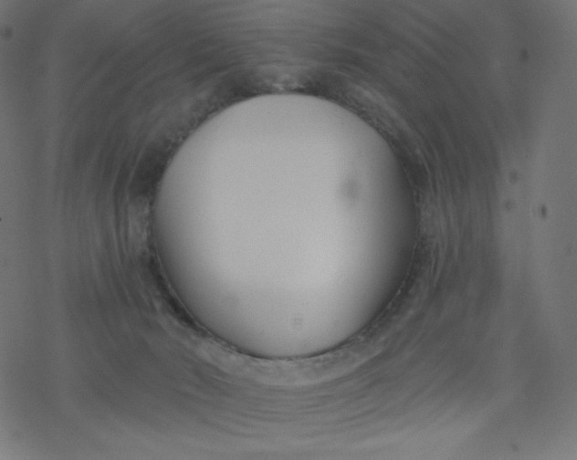 X0000077350030200611031832