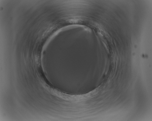 X0000077350031200611031832