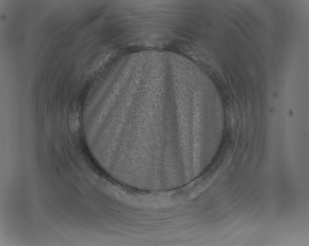 X0000077350032200611031832