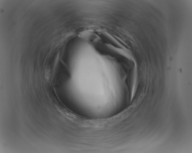 X0000077350033200611031832