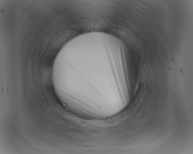 X0000077350034200611031832