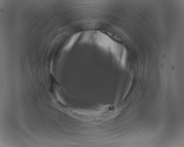 X0000077350035200611031832