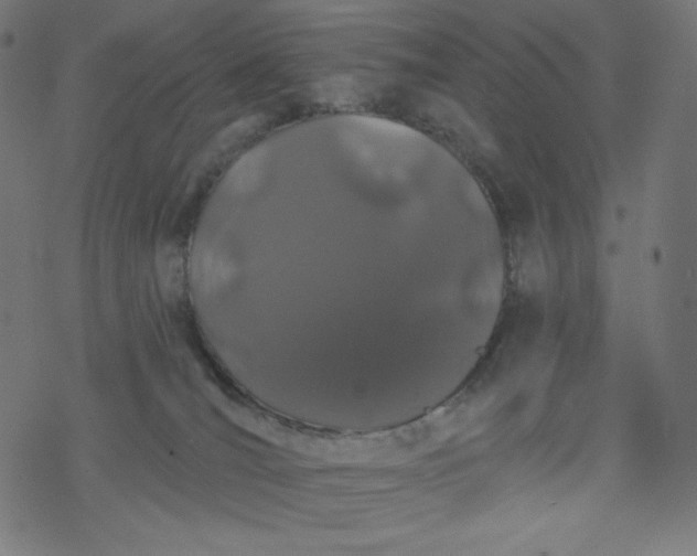 X0000077350036200611031832