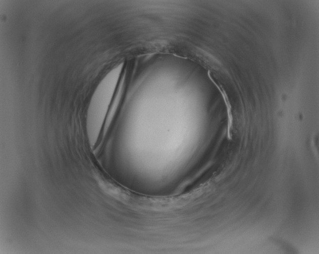 X0000077350037200611031832