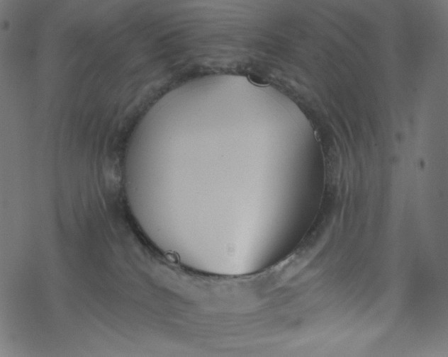 X0000077350040200611031832