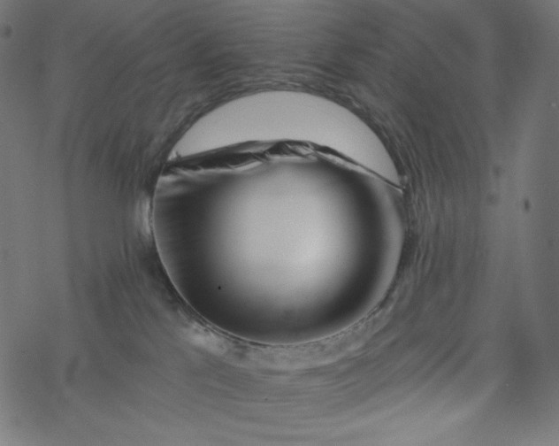 X0000077350041200611031832