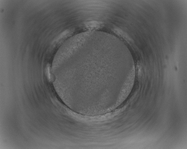 X0000077350042200611031832