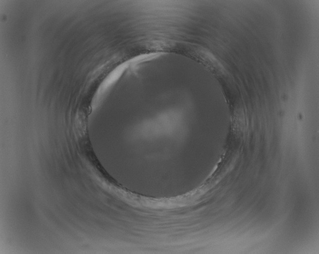 X0000077350043200611031832