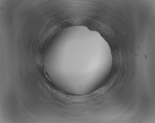 X0000077350044200611031832