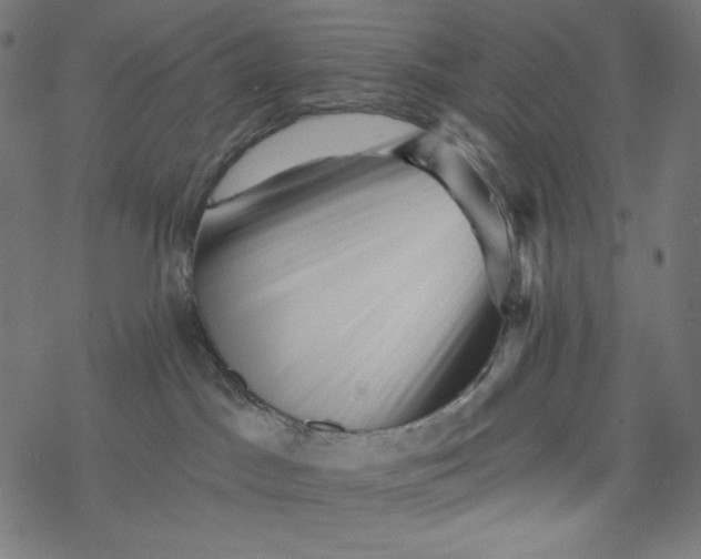 X0000077350045200611031832