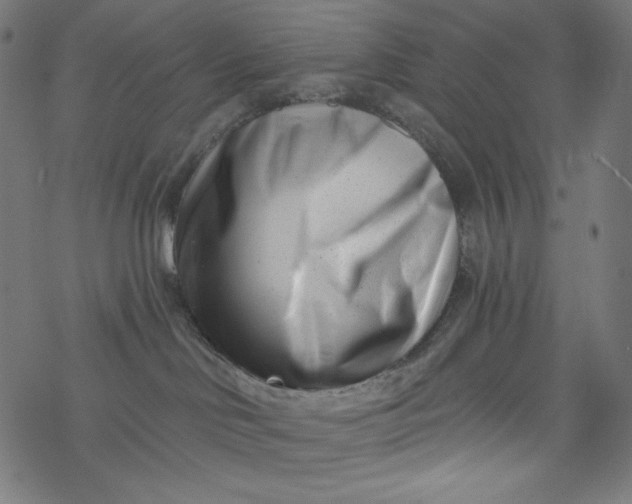 X0000077350046200611031832