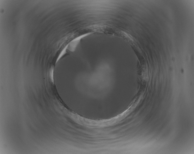 X0000077350047200611031832