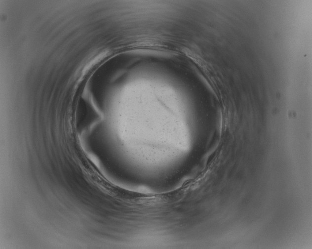 X0000077350050200611031831