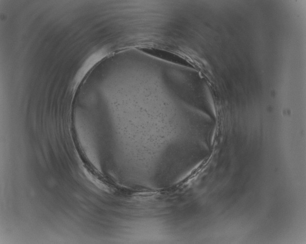 X0000077350051200611031831