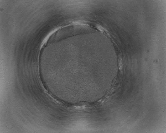 X0000077350052200611031831