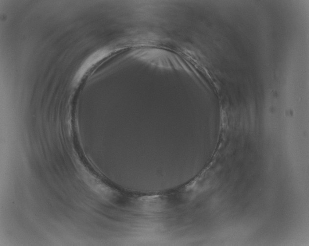 X0000077350054200611031831