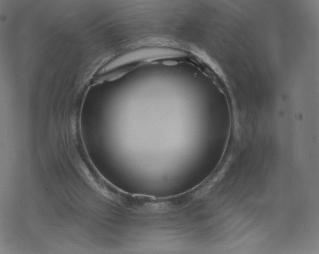 X0000077350057200611031831