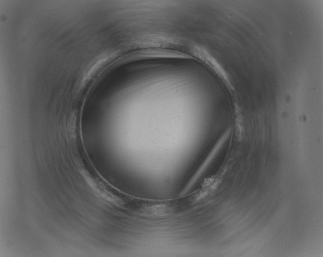 X0000077350058200611031831