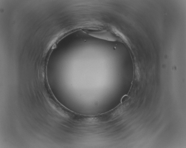 X0000077350059200611031831