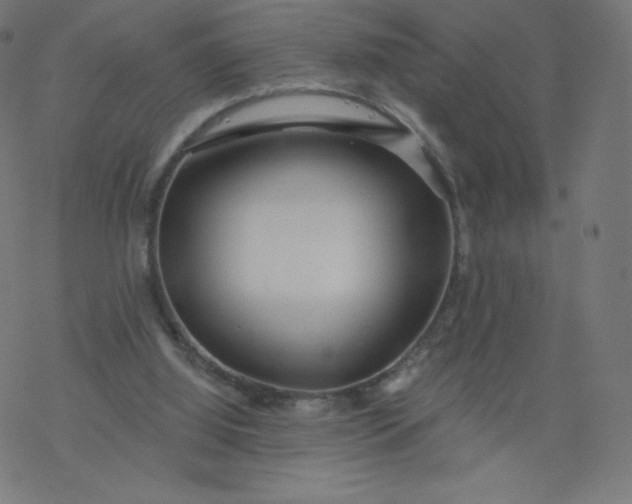 X0000077350060200611031831