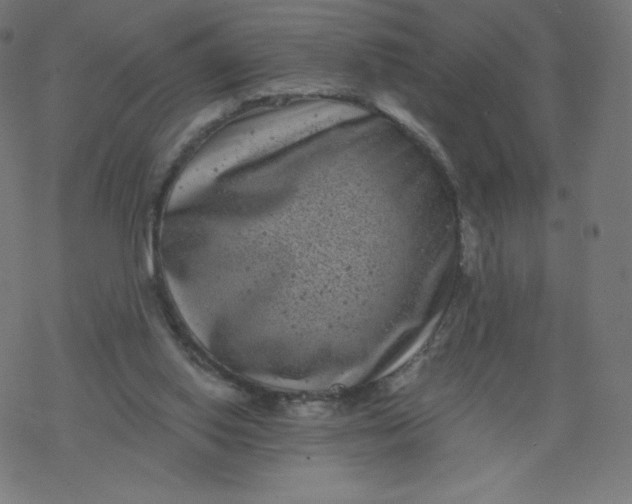 X0000077350062200611031831