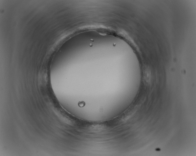 X0000077350063200611031831