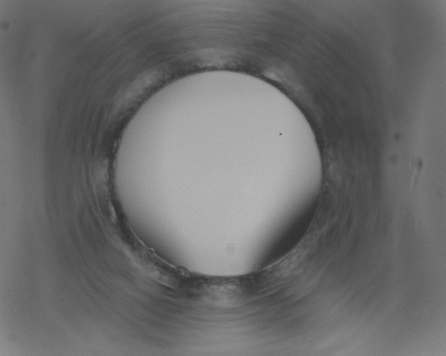 X0000077350066200611031831