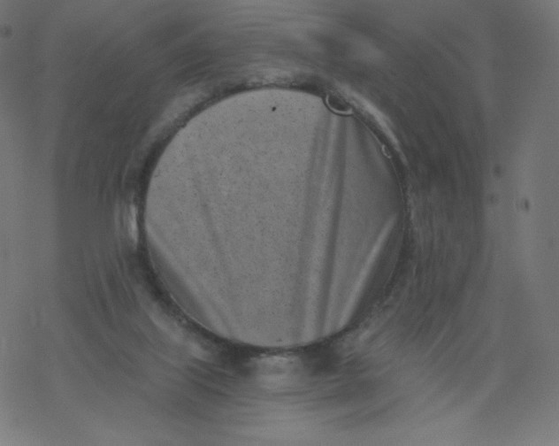 X0000077350067200611031831