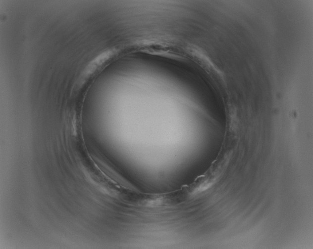 X0000077350068200611031831