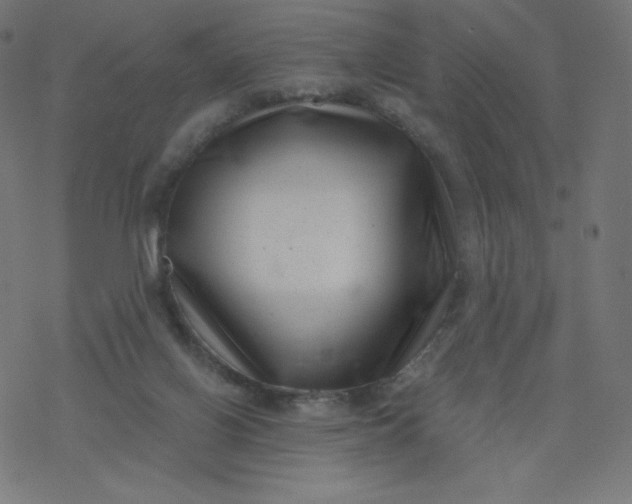 X0000077350070200611031831