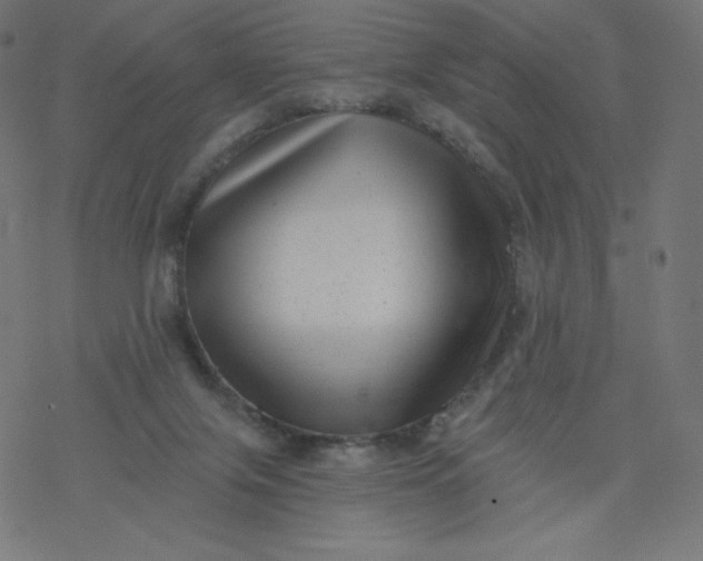 X0000077350071200611031831