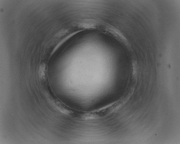 X0000077350073200611031832