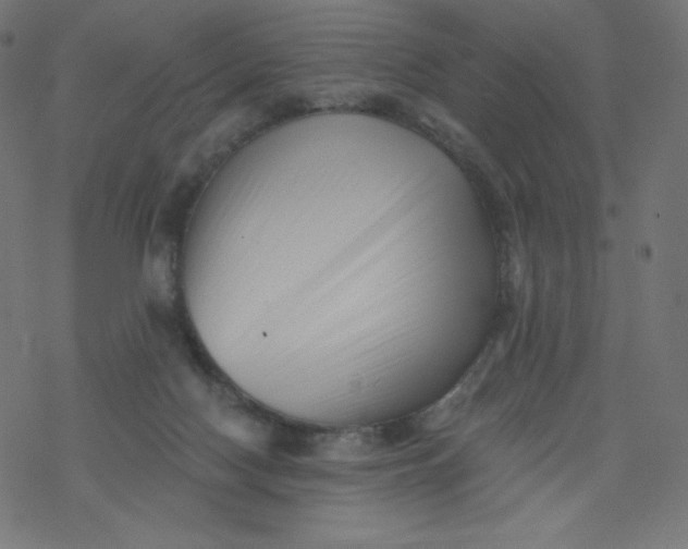 X0000077350074200611031832