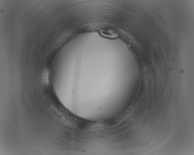 X0000077350075200611031832