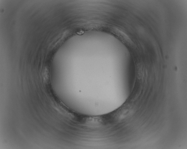 X0000077350077200611031832