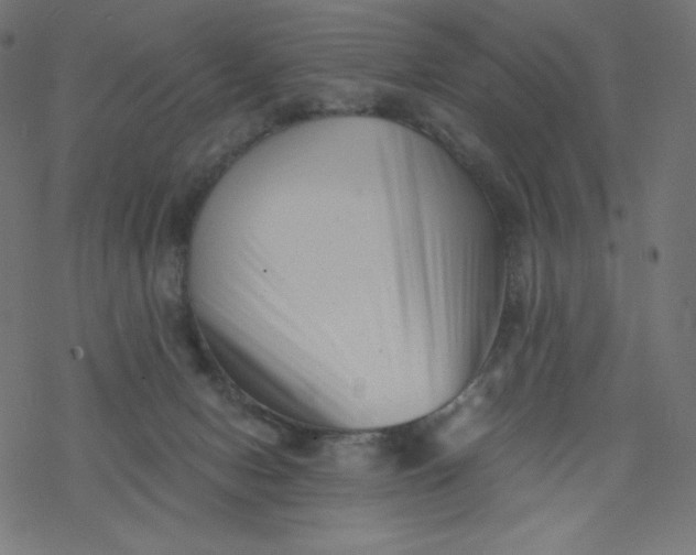 X0000077350078200611031832