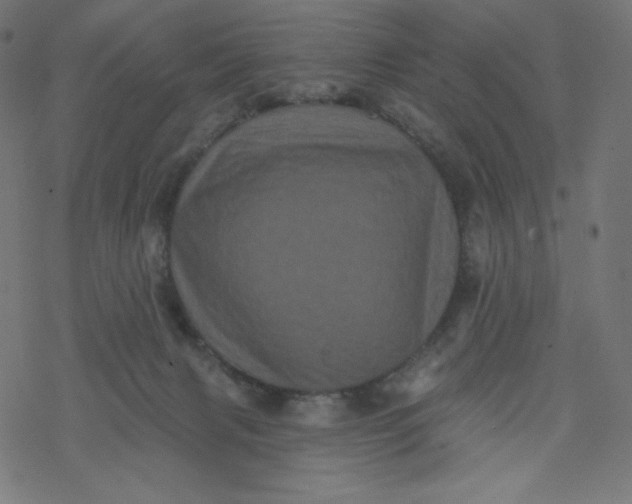 X0000077350079200611031832