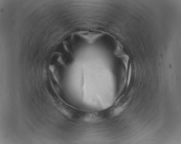 X0000077350080200611031832