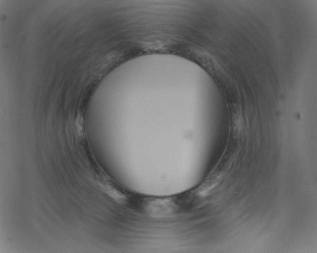 X0000077350081200611031832