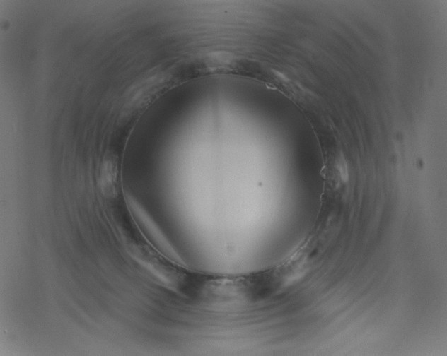 X0000077350082200611031832