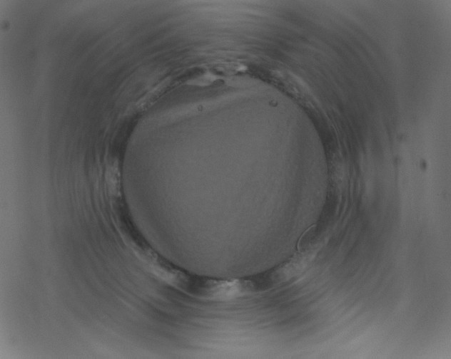 X0000077350083200611031832