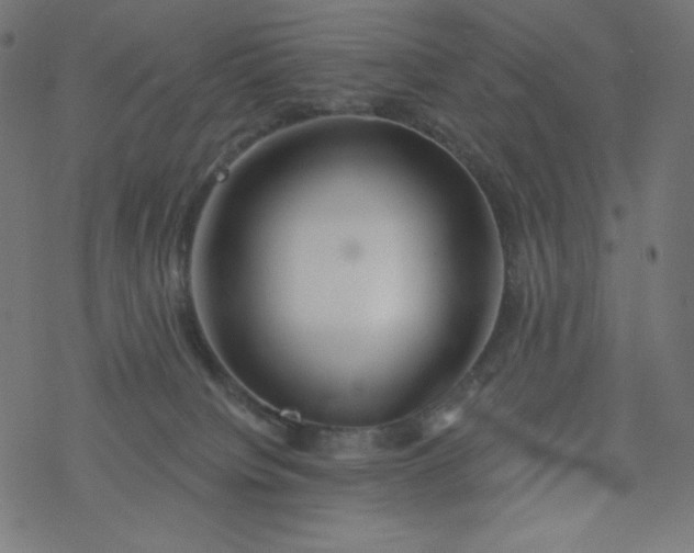 X0000077350084200611031832