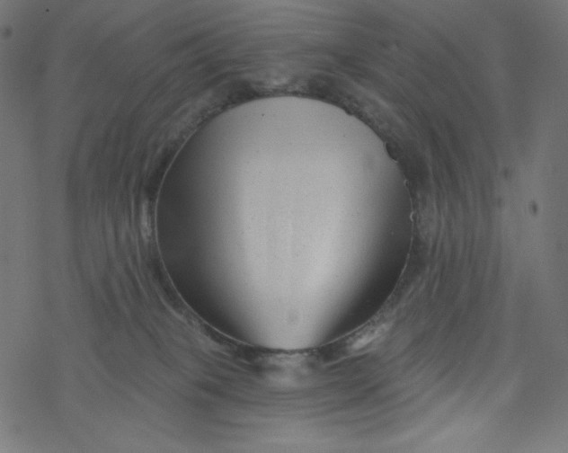 X0000077350085200611031832