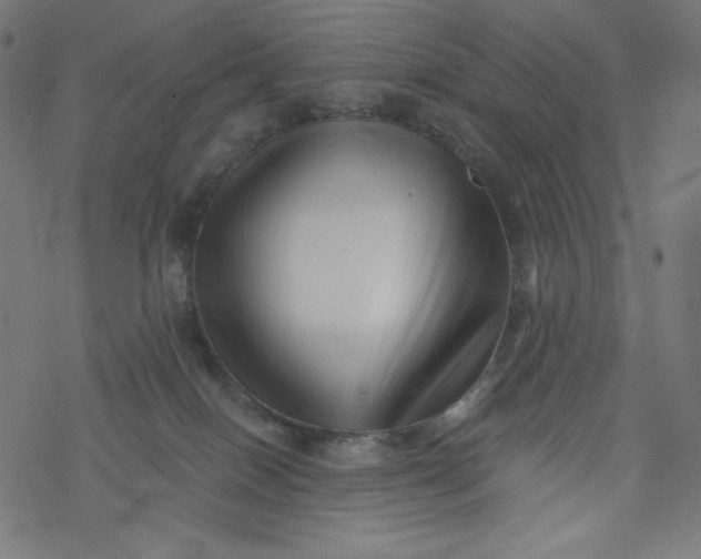 X0000077350086200611031832