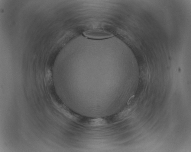 X0000077350087200611031832